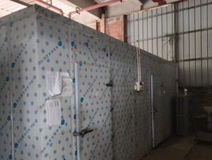 珠海、中山、江门大型冷库拆除回收